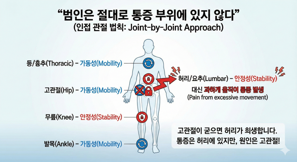 자고 일어나면 몸이 뻣뻣한 진짜 이유: 당신의 통증은 '근육'이 아니라 '움직임'의 문제입니다